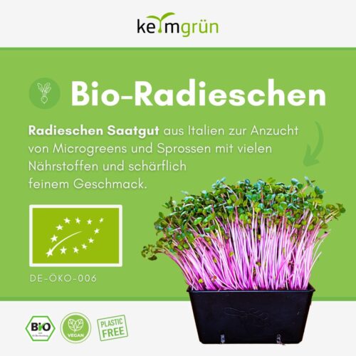 Radieschen Sprossen Microgreens