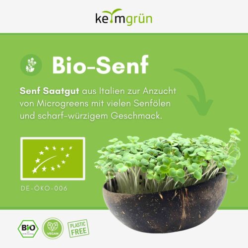 Senf Microgreens