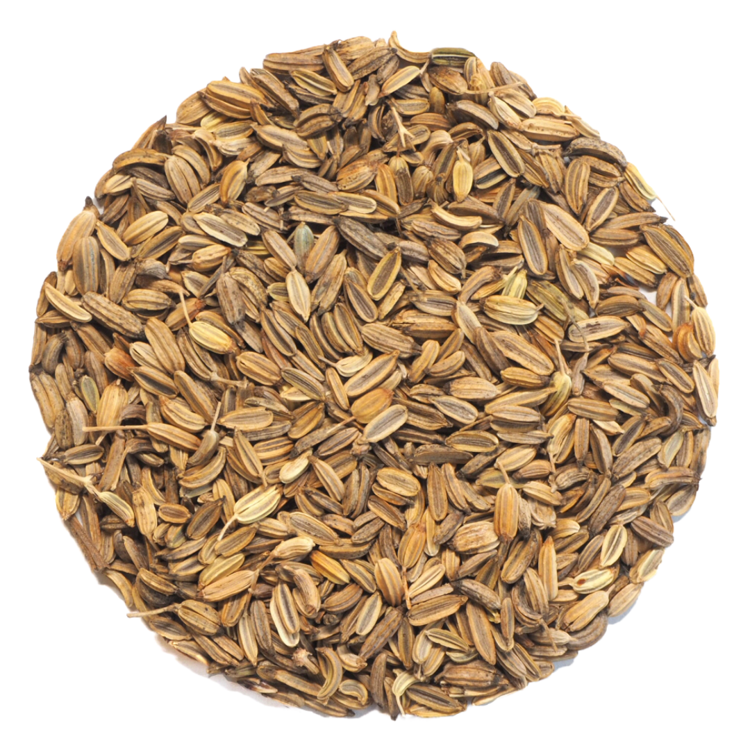 Graines de fenouil – graines de germination biologiques